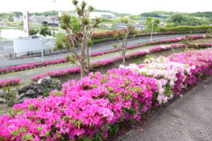 記事の画像